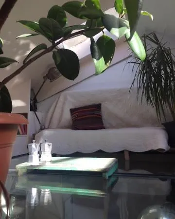 Appartement Location 11 *